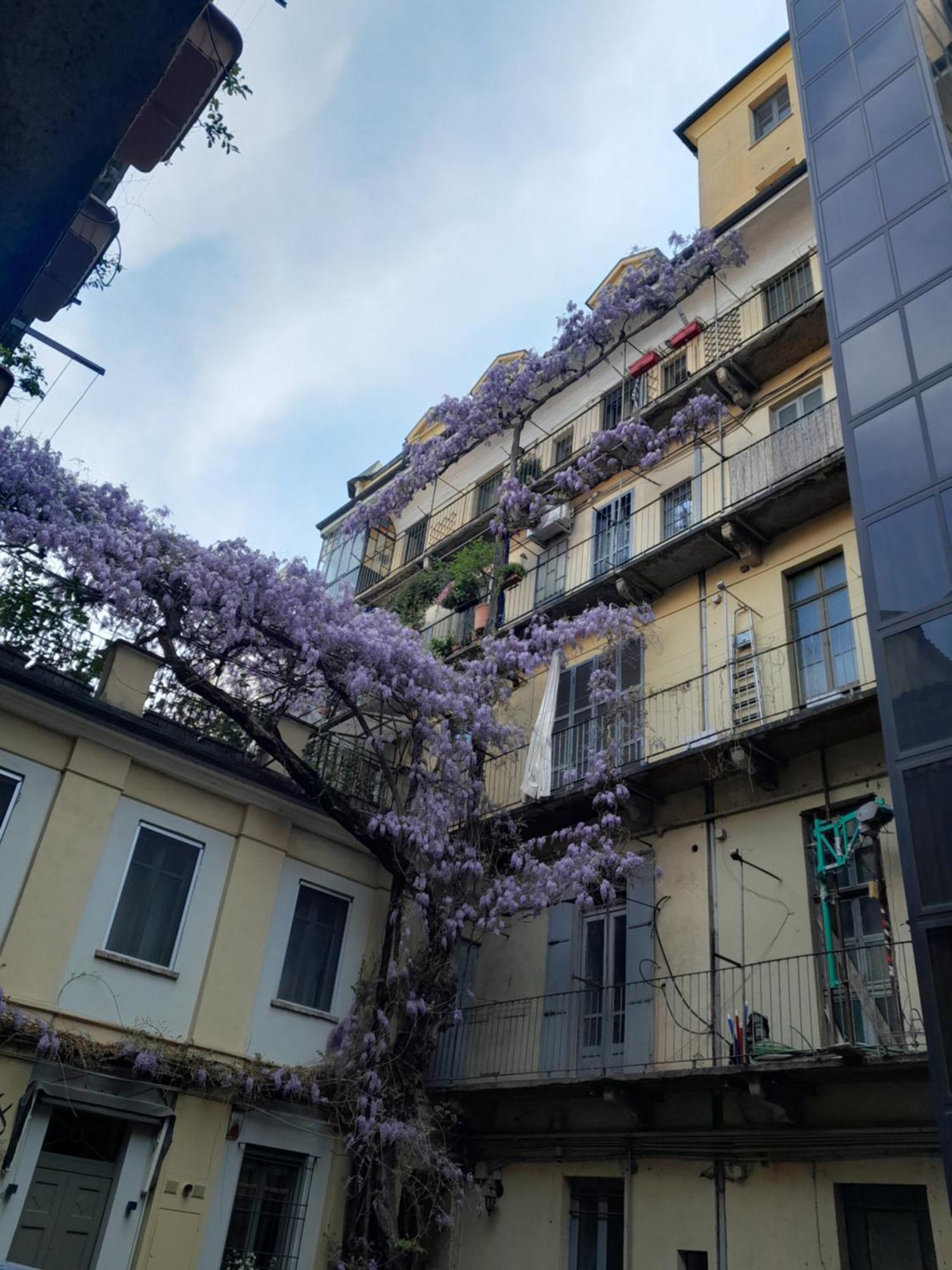 Alloggio Torino Inquadro Bagian luar foto